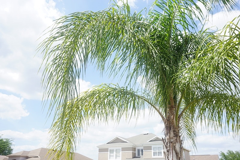 How to Make the Most Out of Your Florida Staycation