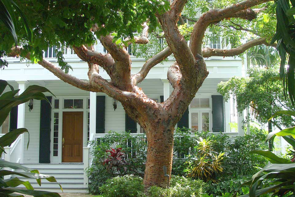 key west house