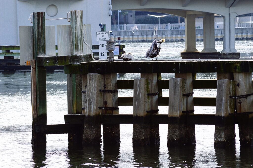 Riverwalk docks
