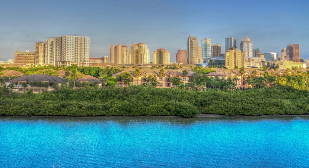 Tampa waterfront view