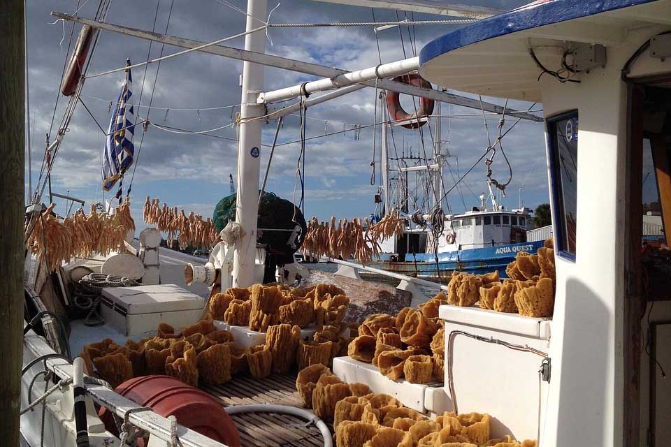 Sponge boat