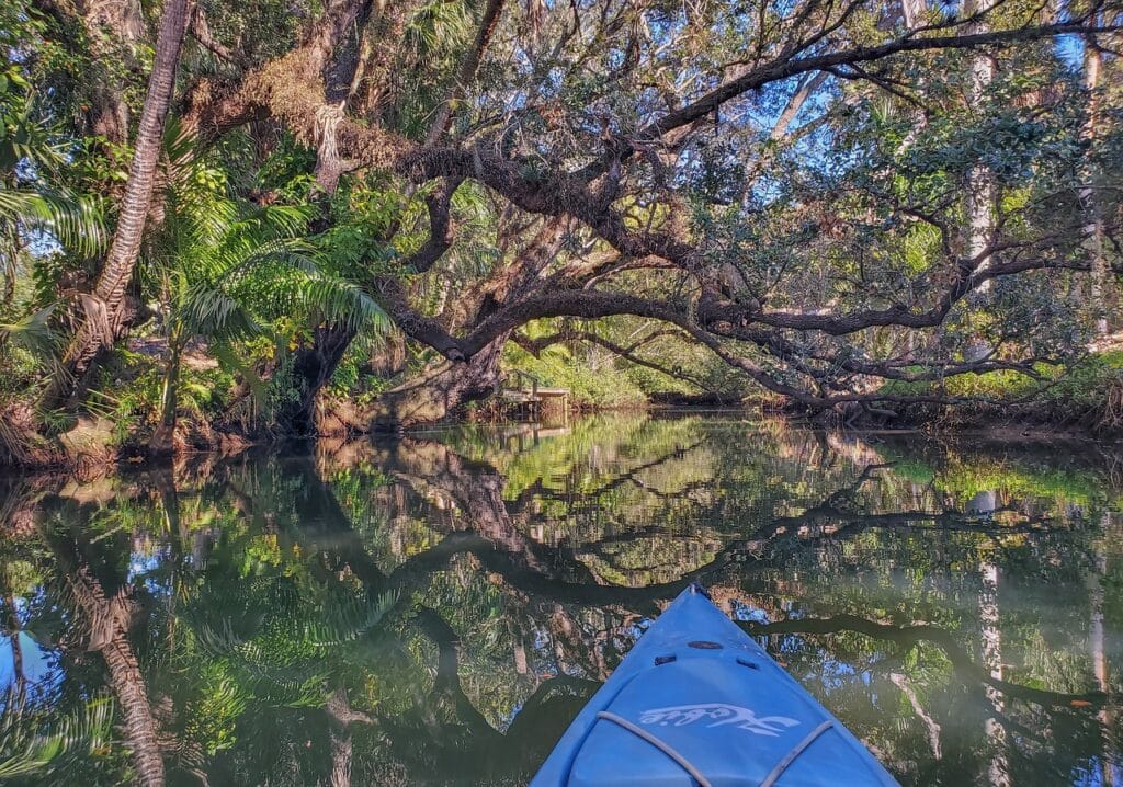 kayaking in Florida 
