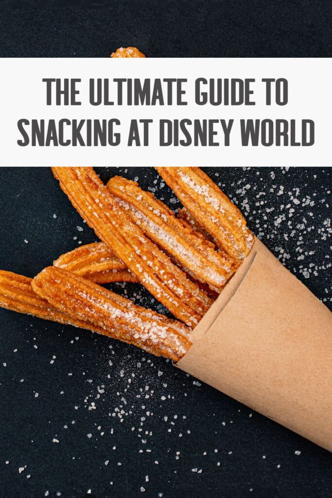 The Ultimate Guide to Snacking at Disney World