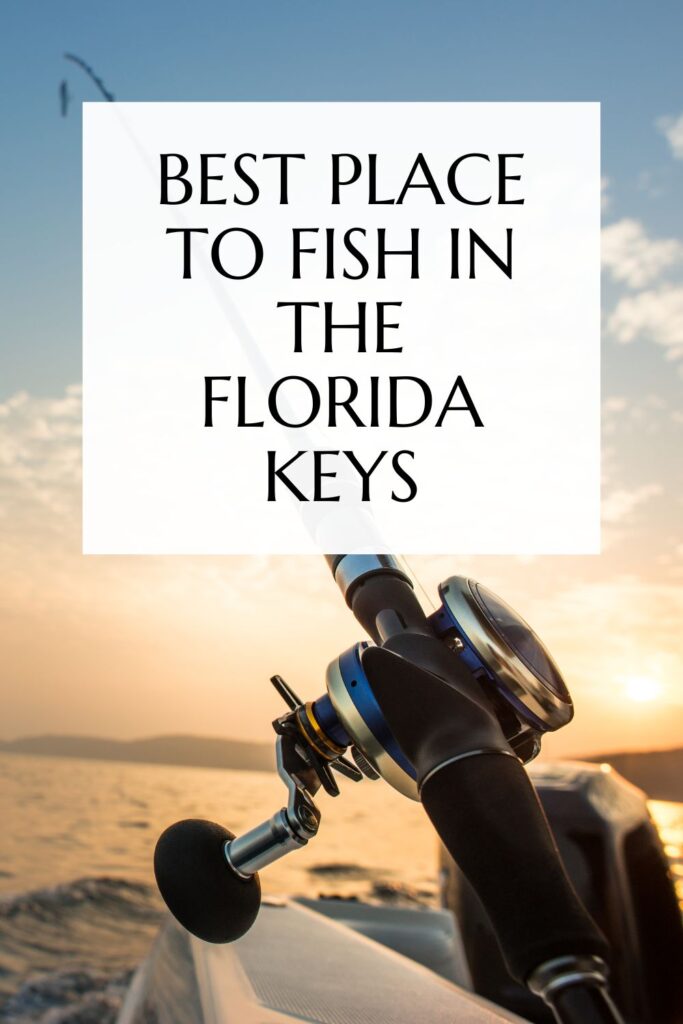 Best Place to Fish in the Florida Keys