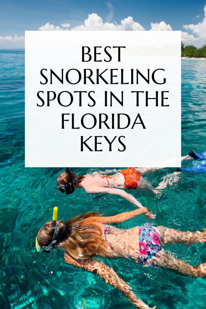 Best Snorkeling Spots in the Florida Keys