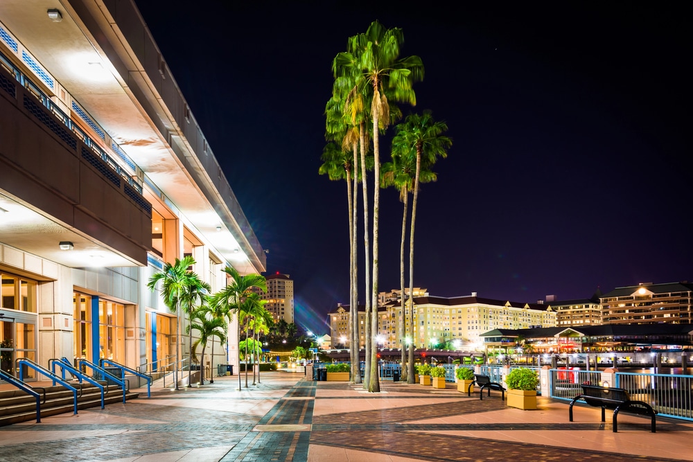 downtown tampa at night