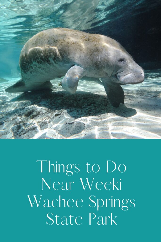 Things to Do Near Weeki Wachee Springs State Park
