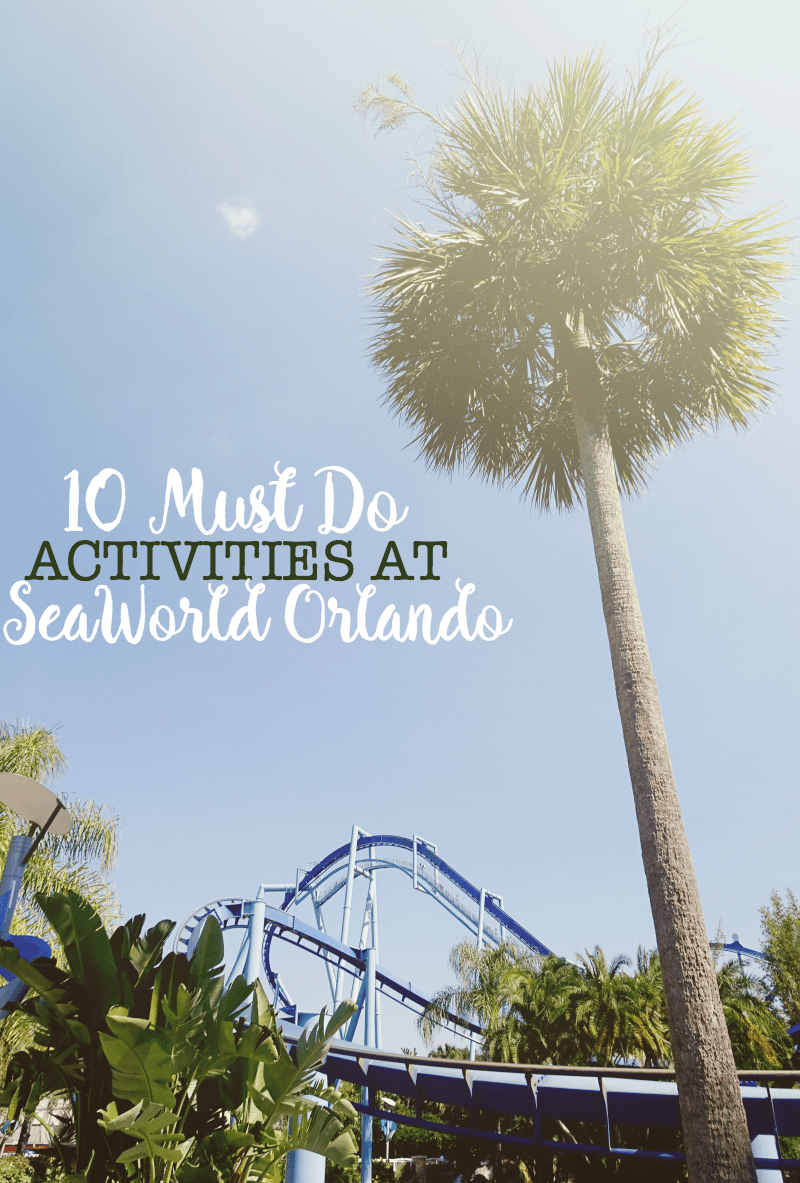 Plan Your Trip to SeaWorld Orlando