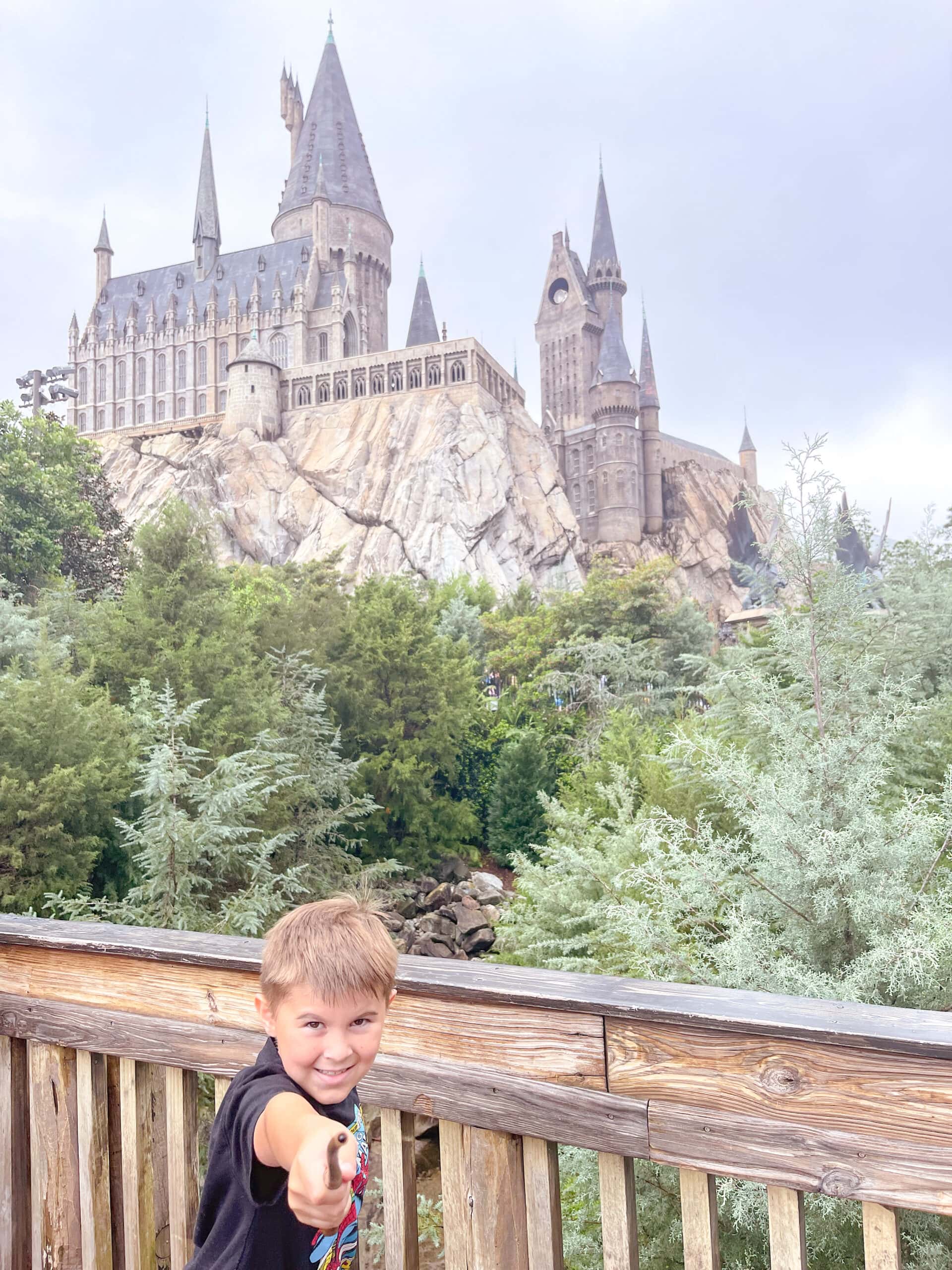 Universal Studios Orlando: Don’t Miss These Universal Studios Florida Rides!